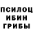 Псилоцибиновые грибы мицелий OWENN OWENNN