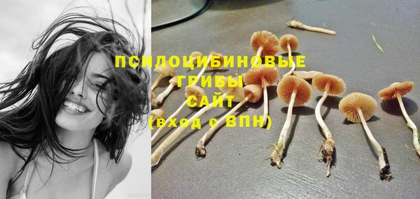 бутират Ельня