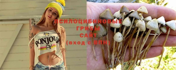 бутират Ельня