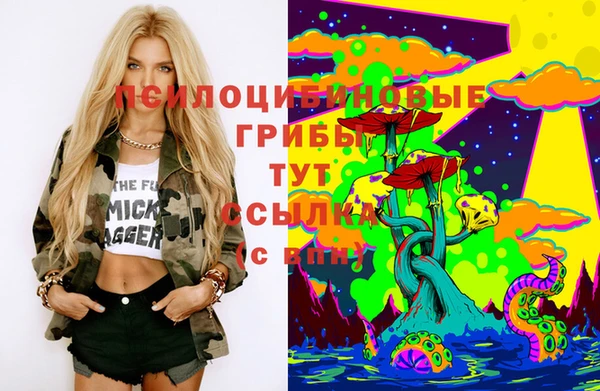 бутират Ельня