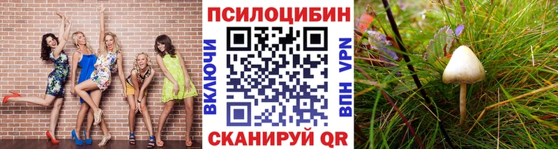 Галлюциногенные грибы прущие грибы  Валуйки 